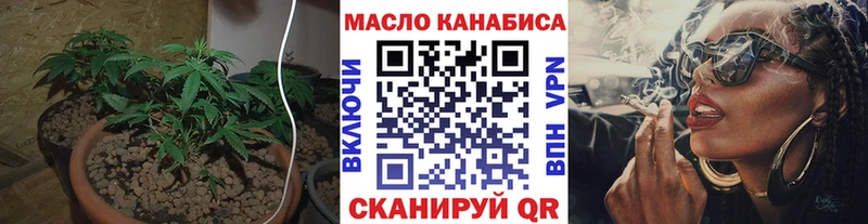 Купить закладки  Никольск  Дистиллят ТГК гашишное масло 